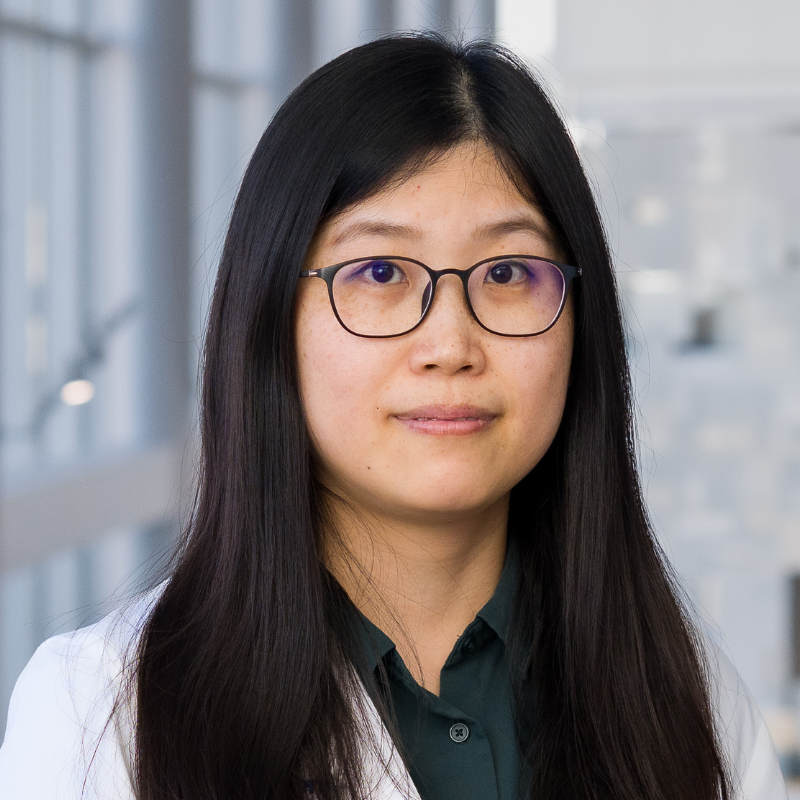 Liyuan Chen, Ph.D.
